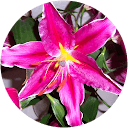 Jasmine Mas profile picture