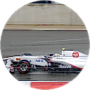 Pies LoFi profile picture